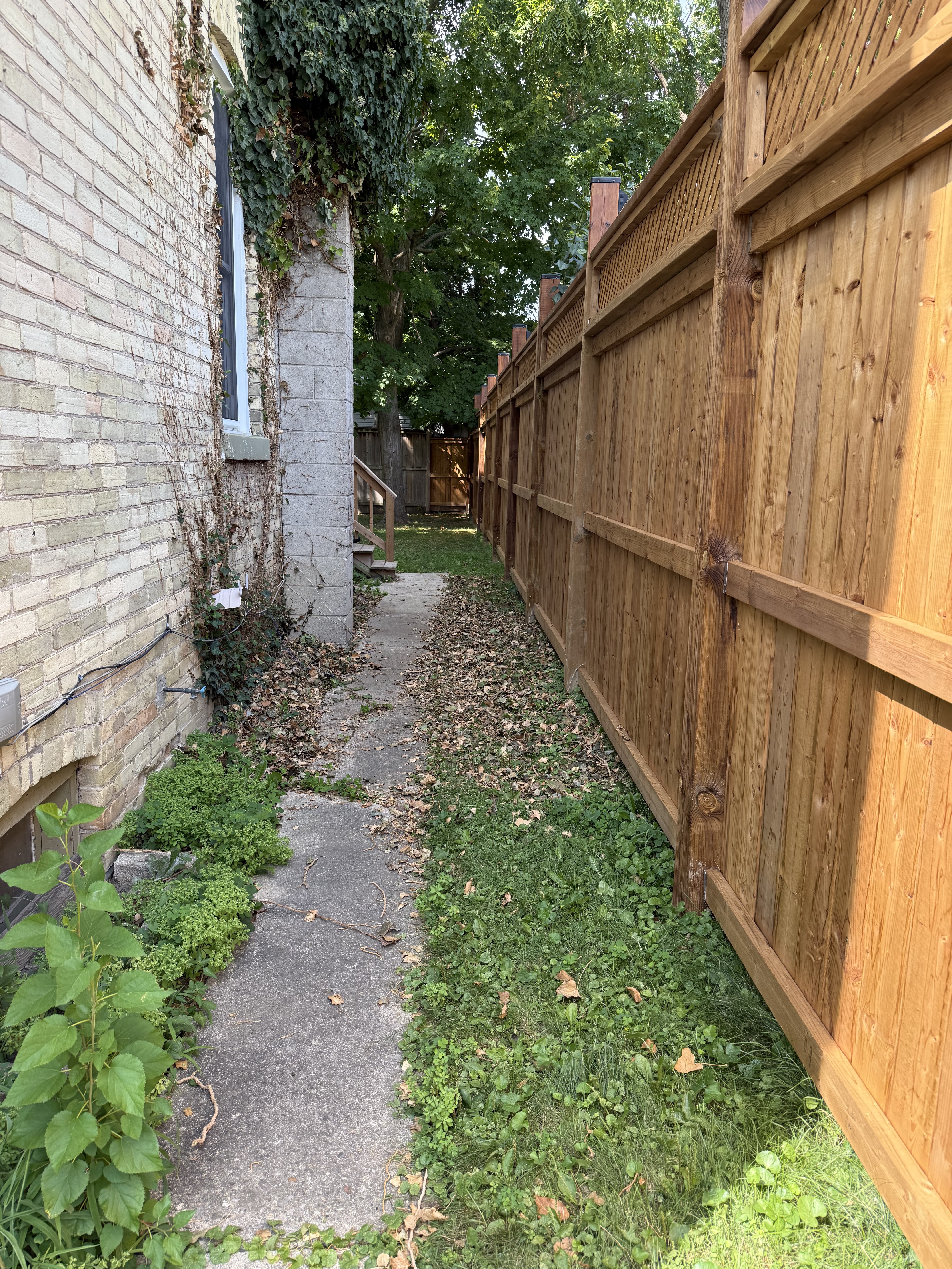 Shared backyard space for London Ontario rental tenants - Wortley Village apartments
